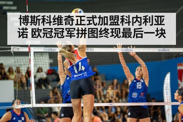 博斯科维奇正式加盟科内利亚诺 欧冠冠军拼图终现最后一块