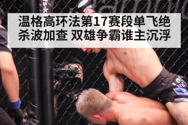 温格高环法第17赛段单飞绝杀波加查 双雄争霸谁主沉浮